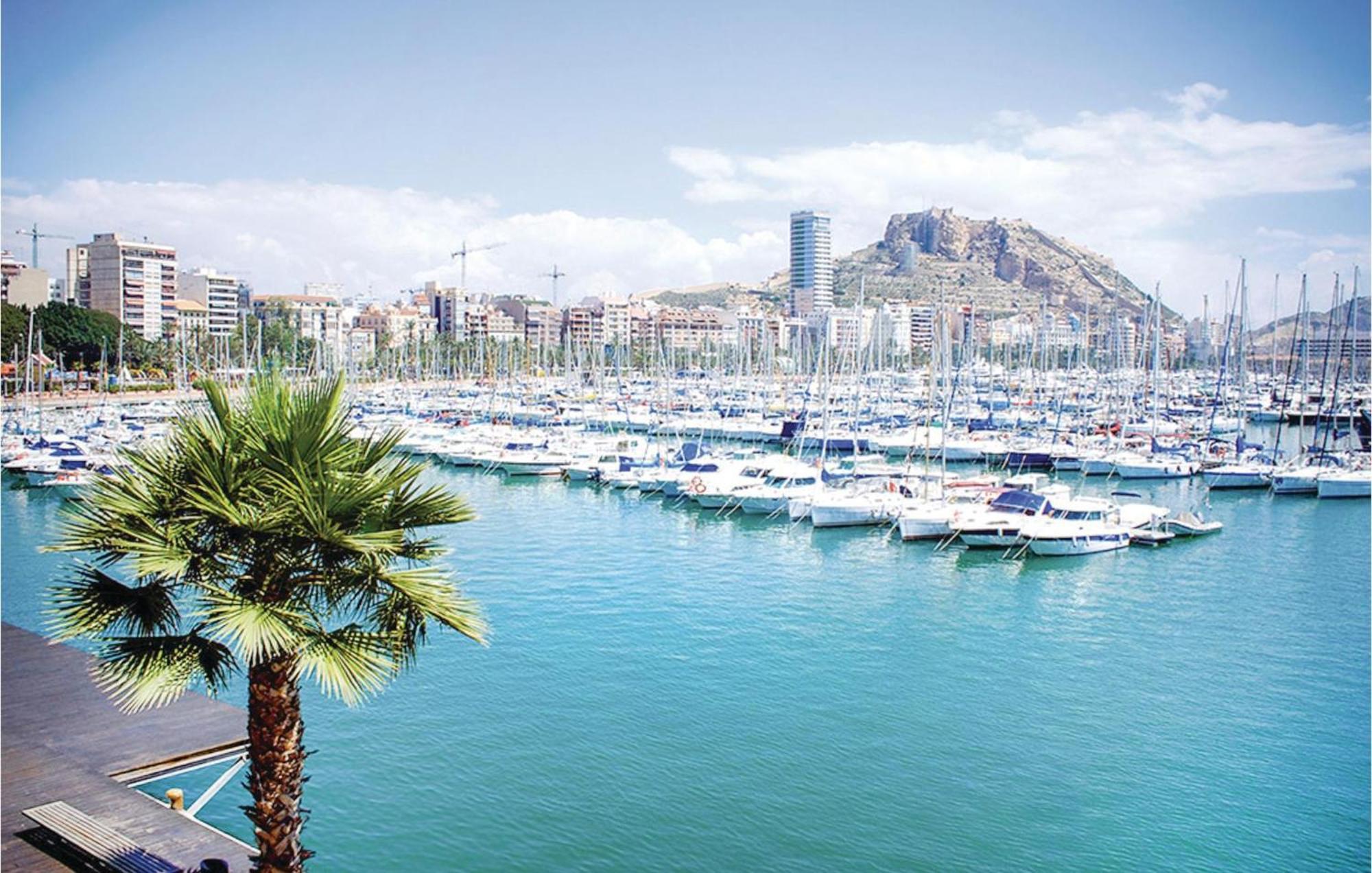3 Bedroom Gorgeous Apartment In Alicante Eksteriør billede